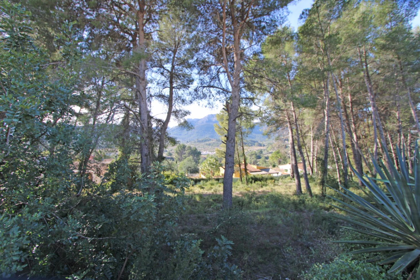 001834 - Grundstück zu verkaufen in Alcalalí