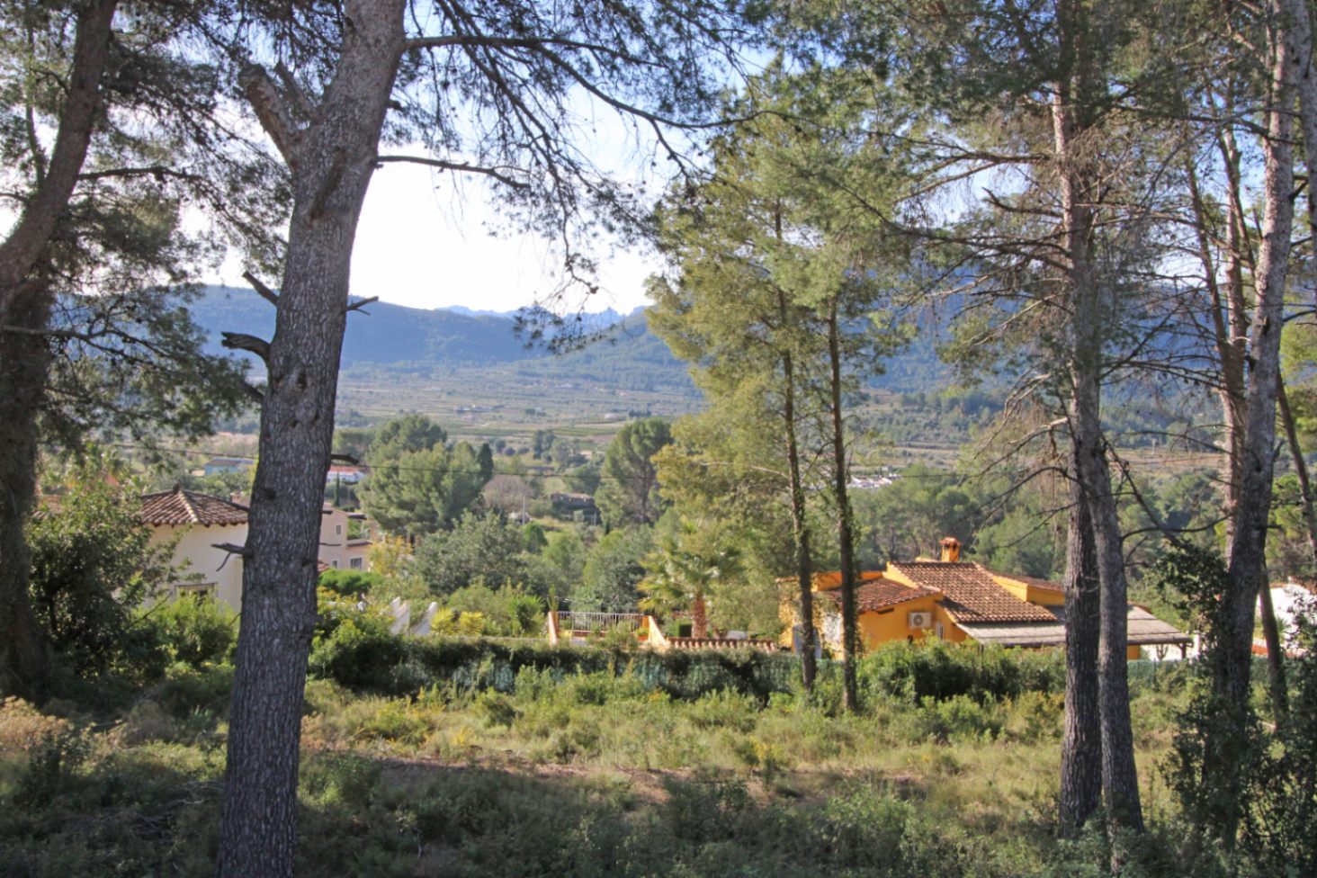 001834 - Grundstück zu verkaufen in Alcalalí