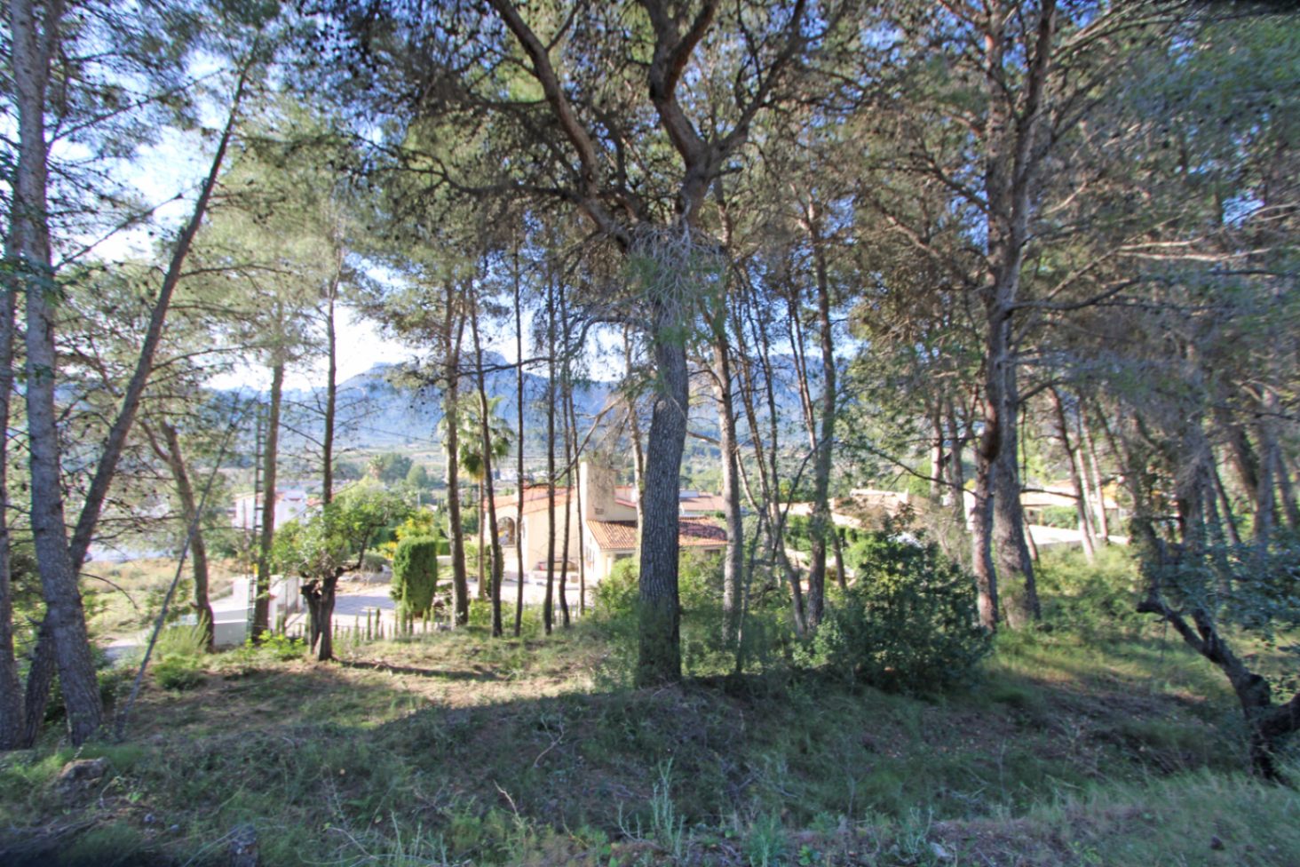 001834 - Grundstück zu verkaufen in Alcalalí