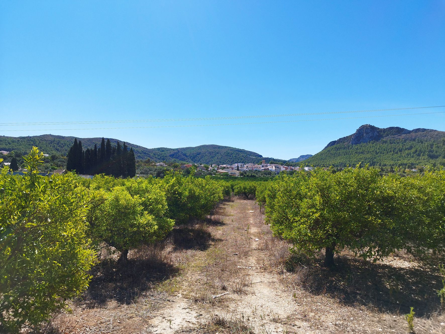 001373 - Terreno llano a la venta cerca de Orba