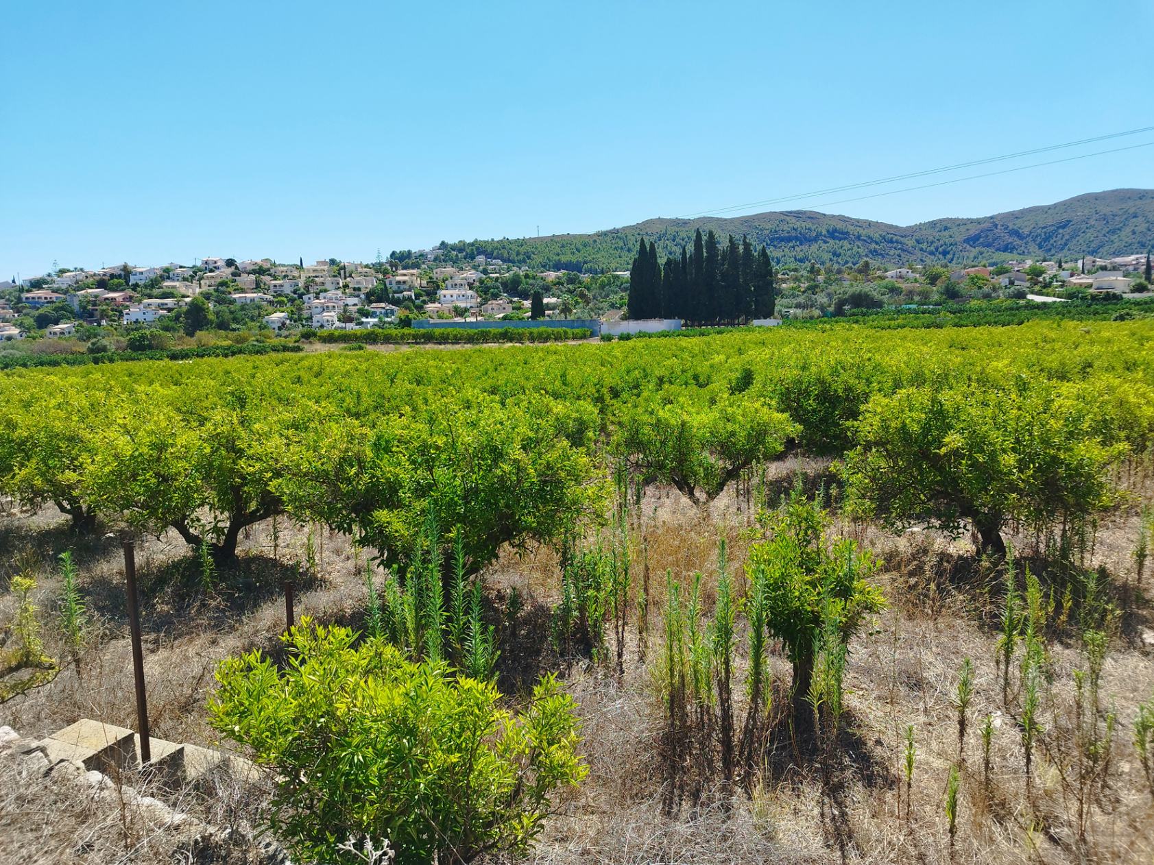 001373 - Terreno llano a la venta cerca de Orba
