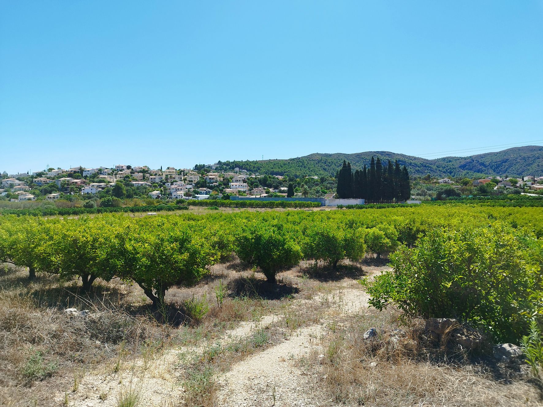 001373 - Terreno llano a la venta cerca de Orba