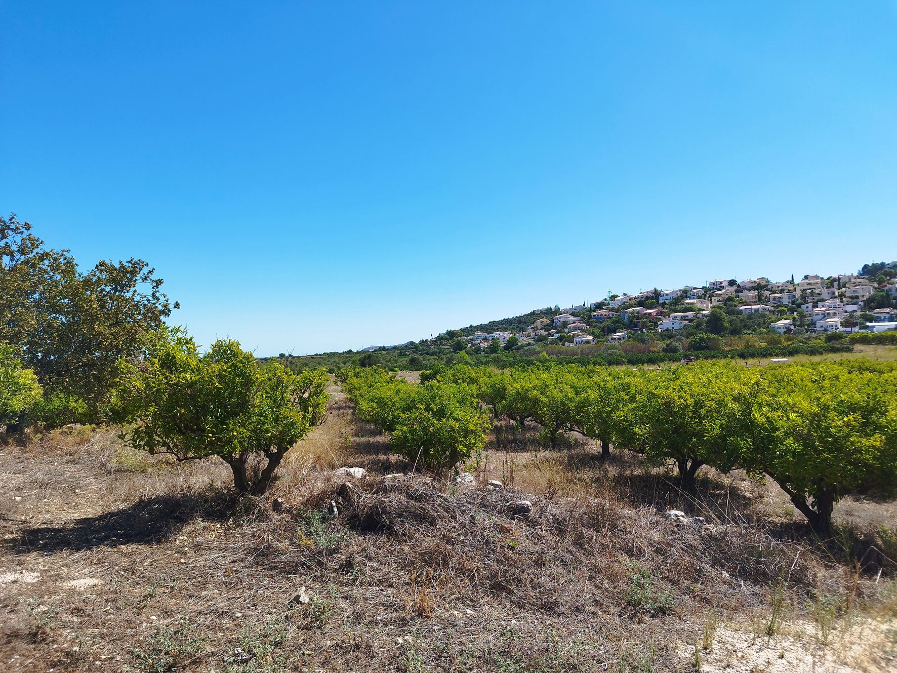 001373 - Terreno llano a la venta cerca de Orba