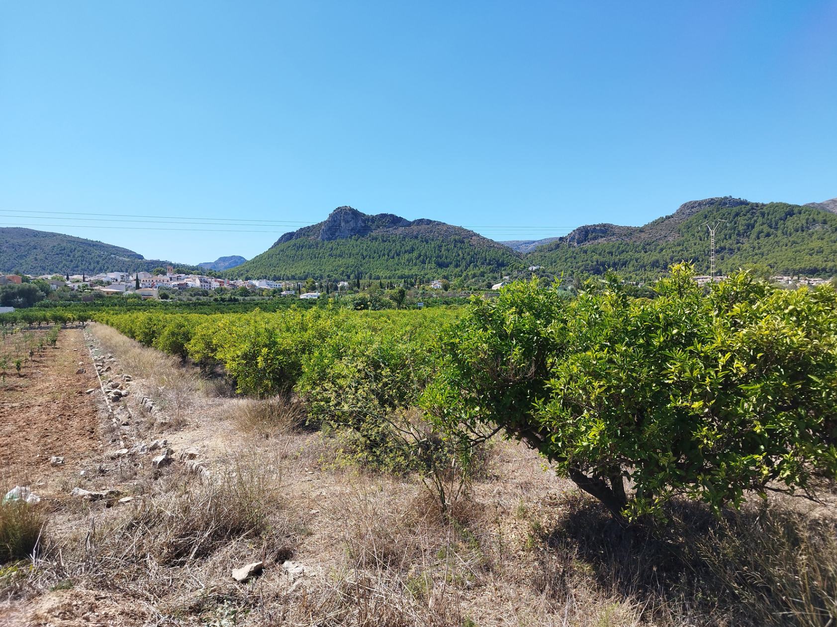 001373 - Terreno llano a la venta cerca de Orba