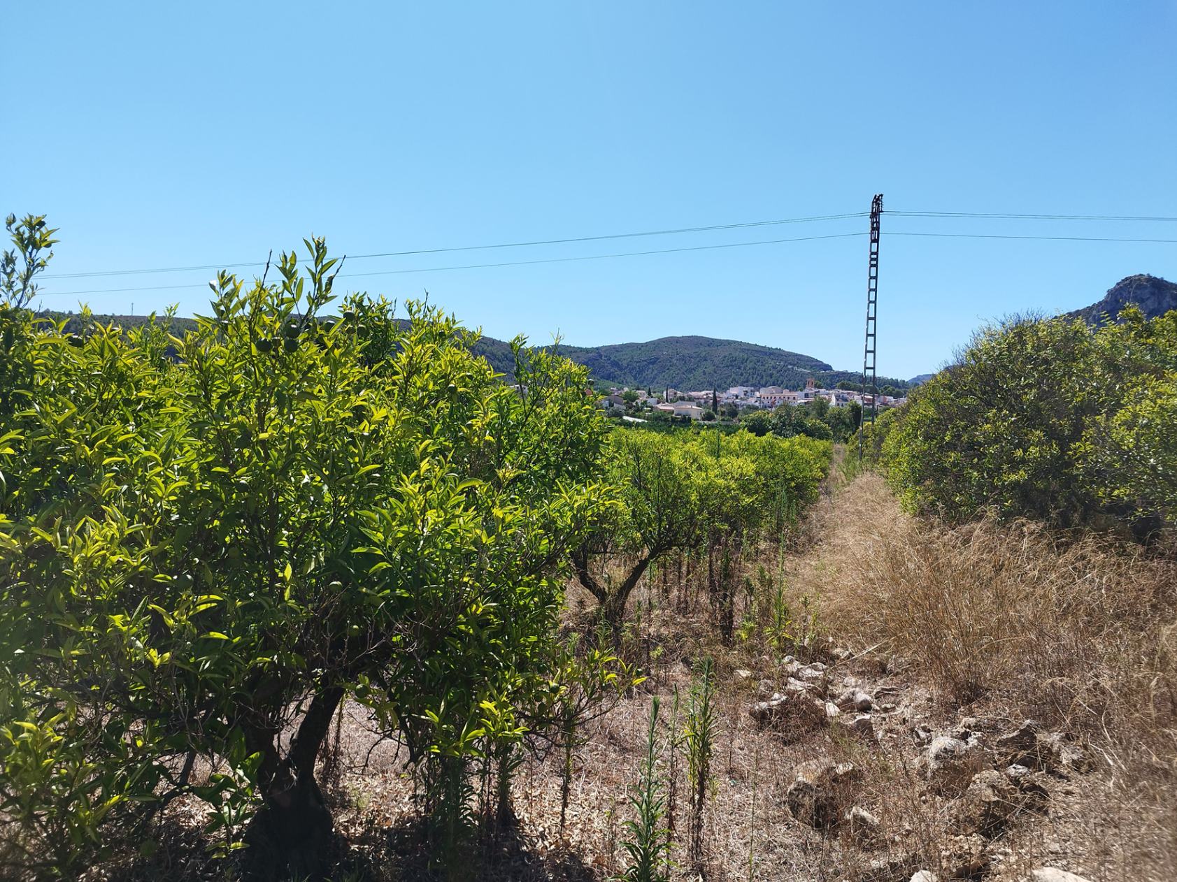 001373 - Terreno llano a la venta cerca de Orba