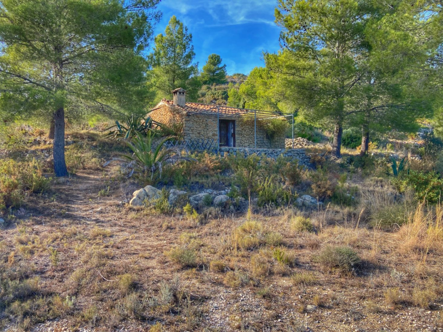 001420 - Parcela a la venta en Jalón con una ubicación fantástica