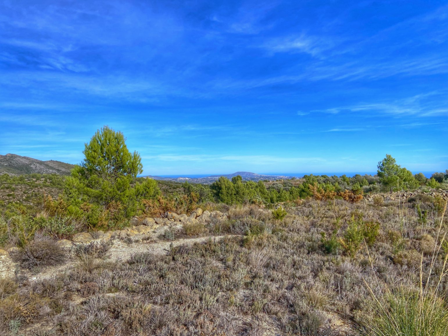 001420 - Parcela a la venta en Jalón con una ubicación fantástica