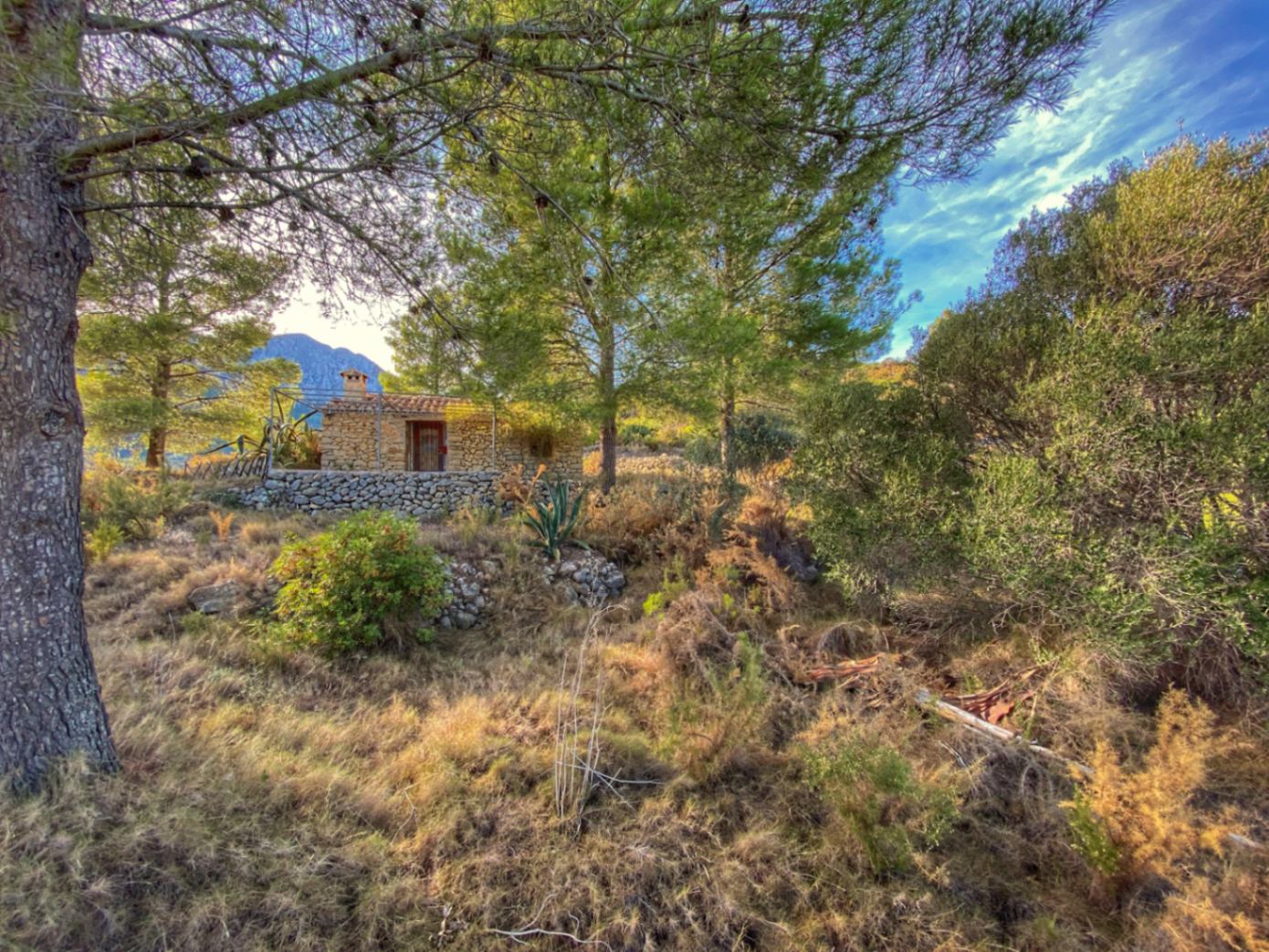 001420 - Parcela a la venta en Jalón con una ubicación fantástica