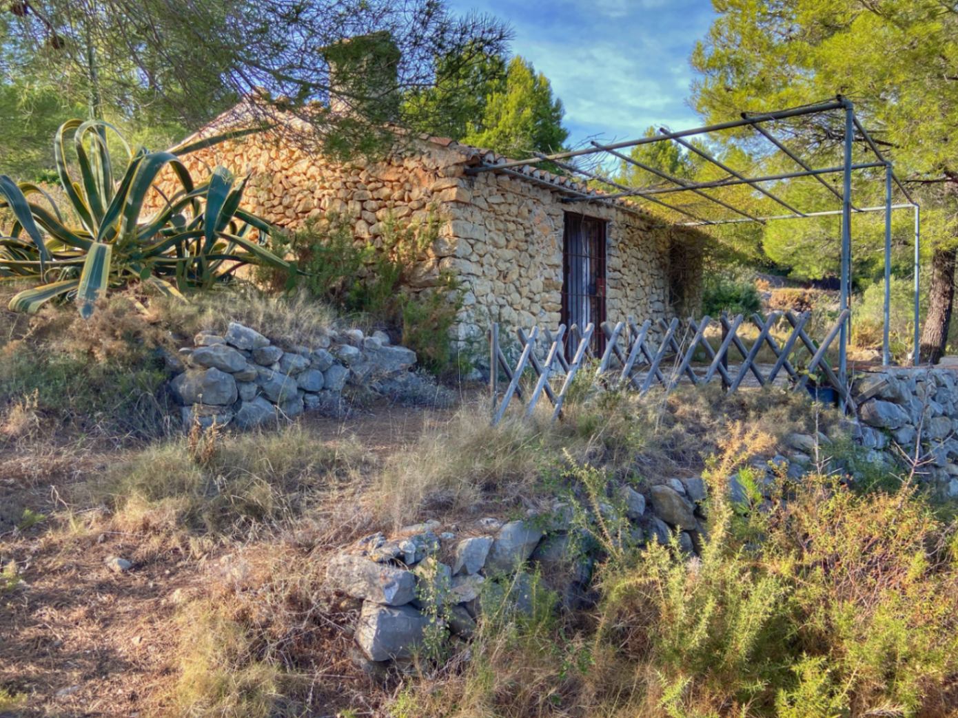 001420 - Parcela a la venta en Jalón con una ubicación fantástica