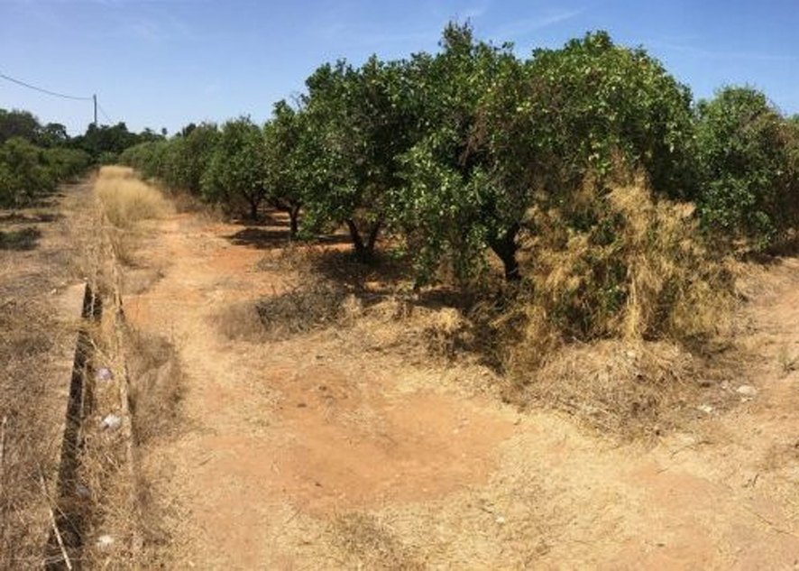 Plot at 400 metres from the beach in Denia