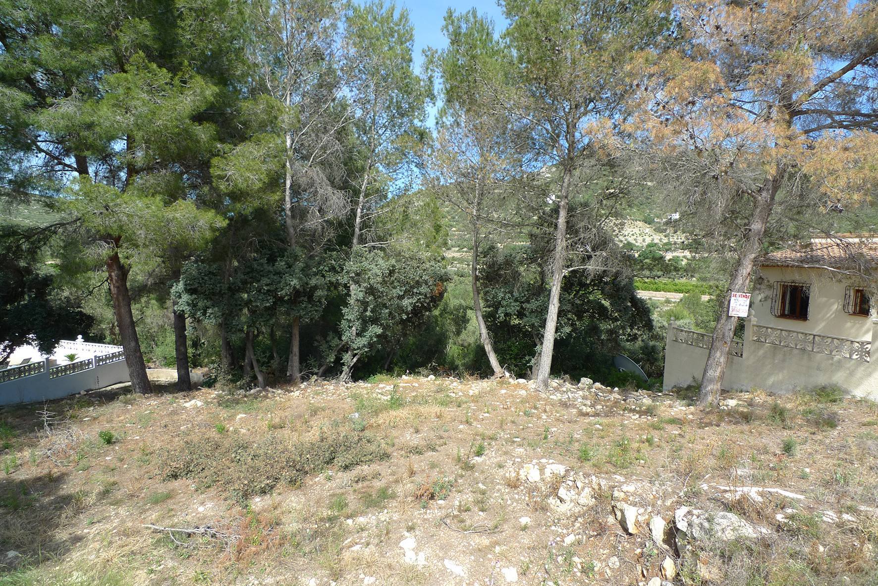 Bebaubare Grundstück zu verkaufen in Alcalali