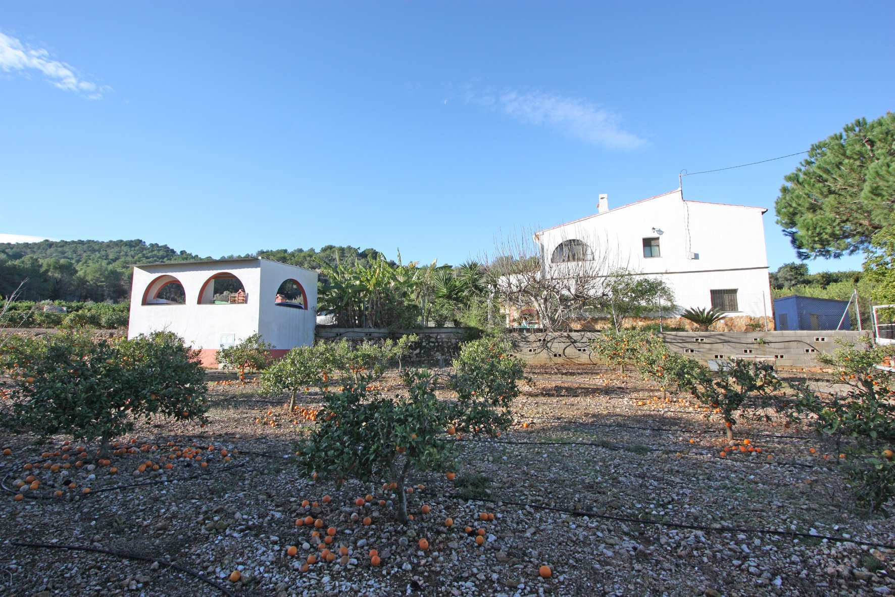 Villa in Benidoleig 