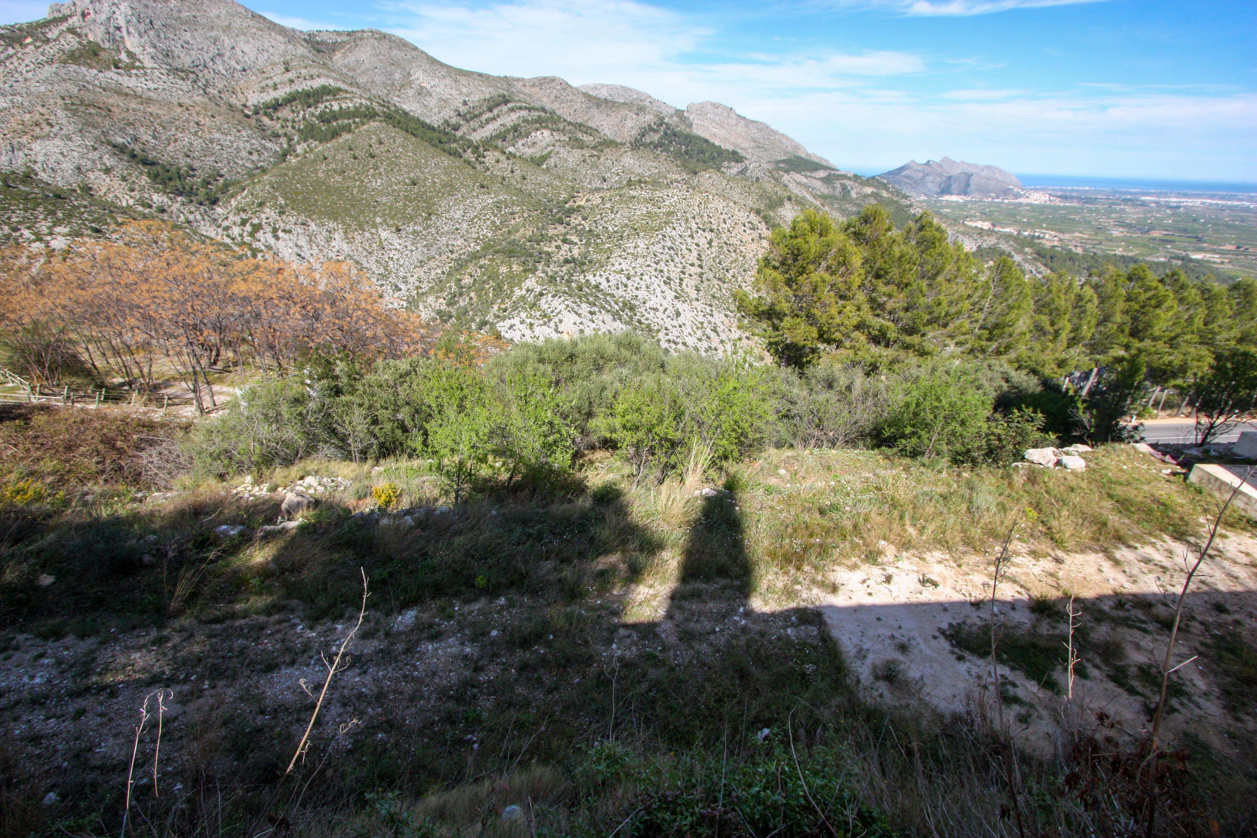 Plot in Vall de laguart 